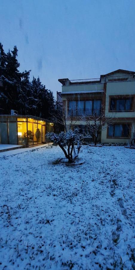 Doga Villa Guest House Büyükçekmece Eksteriør billede